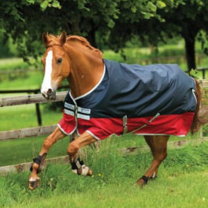 Horseware Amigo 1200D Pony Medium Turnout