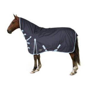 Heavy Weight Turnout Rug