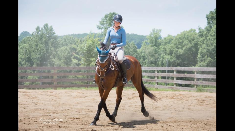 Double B Equestrian at Erik Duvander horse clinic on 7/20 - BB Equestrian