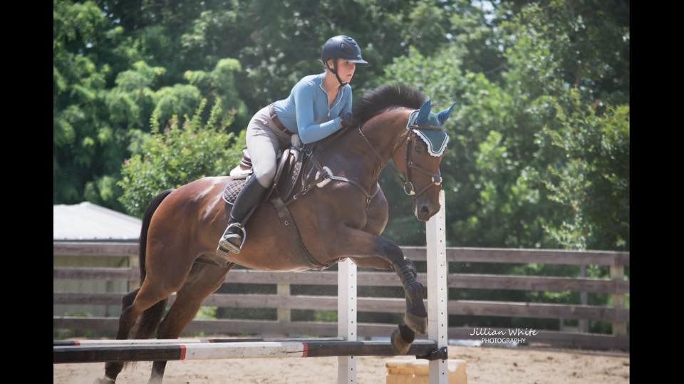 Double B Equestrian at Erik Duvander horse clinic on 7/20 - BB Equestrian