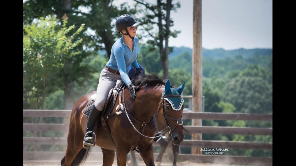 Double B Equestrian at Erik Duvander horse clinic on 7/20 - BB Equestrian