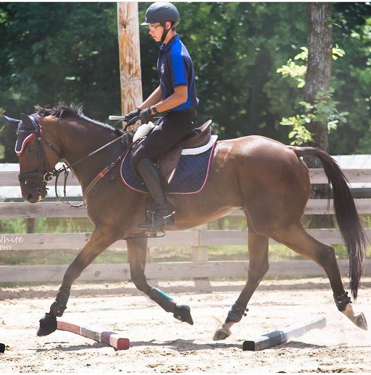 Double B Equestrian at Erik Duvander horse clinic on 7/20 - BB Equestrian