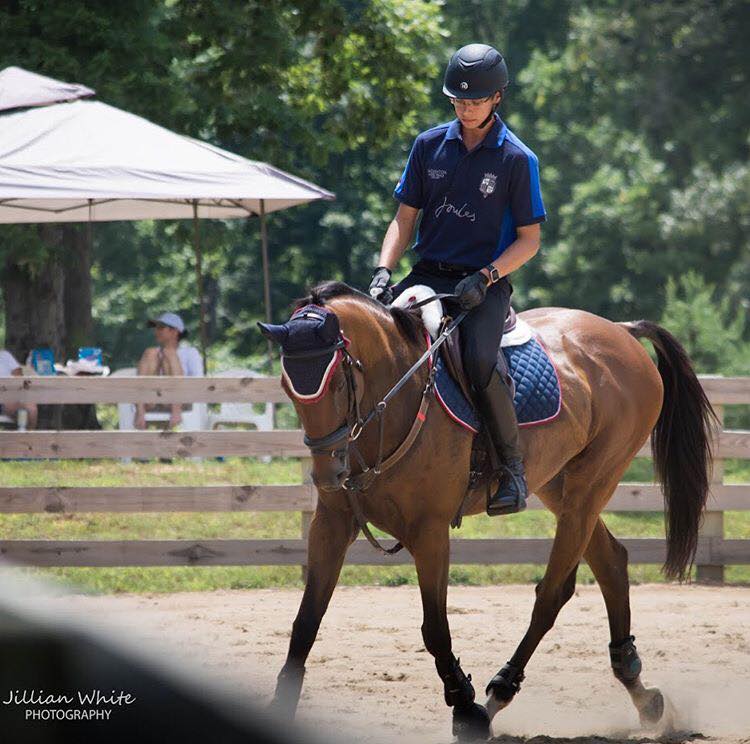 Double B Equestrian at Erik Duvander horse clinic on 7/20 - BB Equestrian