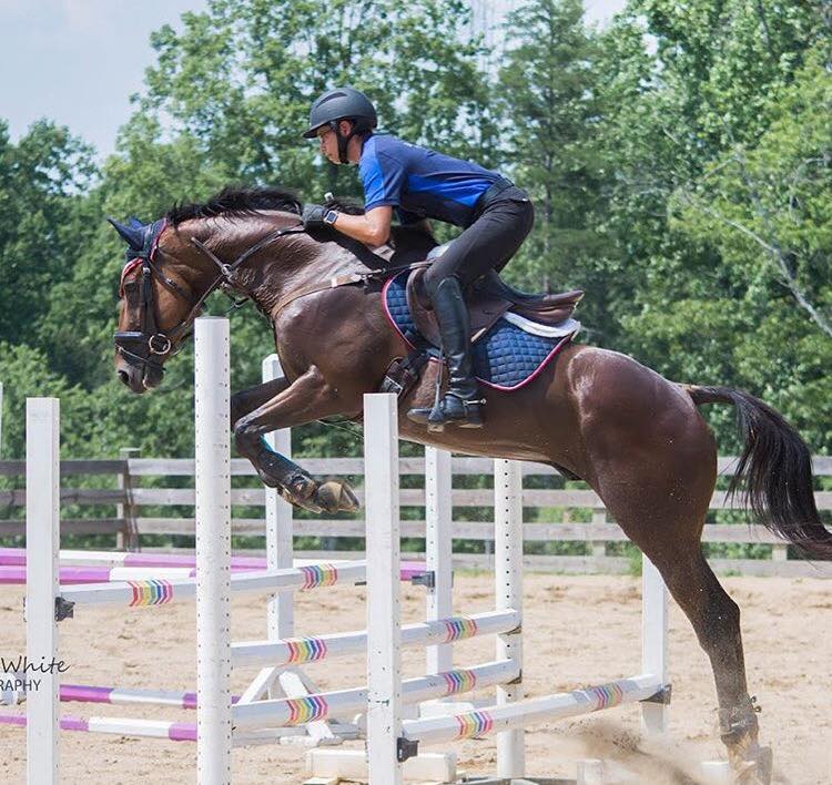 Double B Equestrian at Erik Duvander horse clinic on 7/20 - BB Equestrian