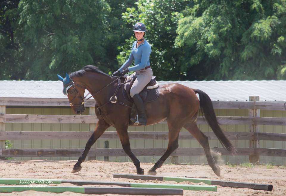 Double B Equestrian at Erik Duvander horse clinic on 7/20 - BB Equestrian